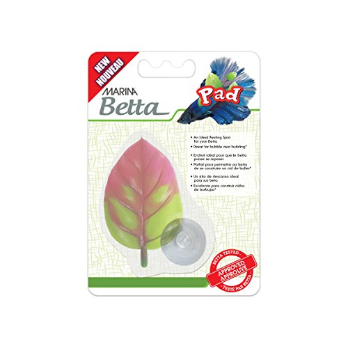 Marina 12230 Betta Leaf Pad, Grün von Marina