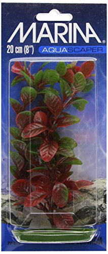 Marina Aquascaper, Aquarienpflanze, Wasserpflanze, aus Kunststoff, Red Ludwigia, 20cm, Medium von Marina