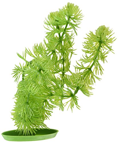 Marina Aquascaper, Aquarienpflanze, Wasserpflanze, aus Kunststoff, Hornwort, 20cm von Marina