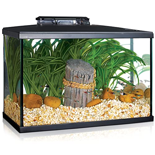 Marina LED-Aquarium-Set, 5 Gallon von Marina