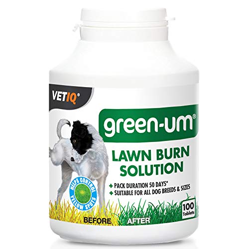 Mark and Chappell LTD 24555/3797 Mark & Chappell Hund Green-Um Rasen Burn Control - 100 Tabletten von VetIQ