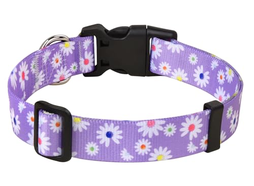 MarukoPet Hundehalsband, Verstellbares, Weich & Komfort Hunde Halsband, für Kleine, Mittlere Große Hunde, Böhmisches, Blumen, geometrisches, Stammes Design(Lila Daisy,L) von MarukoPet