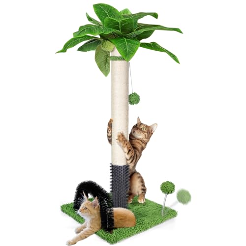 Masthome Kratzbaum für Katzen, 75 cm Kratzbaum für Katzen, Säule aus Natürlichem Sisal und Weicher Teppichboden mit Hängekugel, Kratzbaum für Katzen Jeden Alters – Grün von Masthome