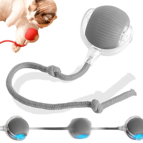 Hundespielzeug Ball, 2025 Neu Magic Ball Hund, Interaktives Hundespielzeug Ball,Hundeball Elektrisch,Hundespielzeug Unzerstörbar,Smart Automatisch Rollender Ball für Katzen und Hunde (Grau) von Matame