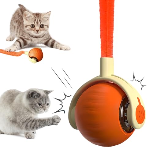 Katzenspielzeug, 2025 Neu Katzenspielzeug Selbstbeschäftigung, Interaktives katzenspielzeug Ball, Powerball Katze Elektrisch, Power Ball 2.0 Katze mit Ersatzschwanz (Orange) von Matame