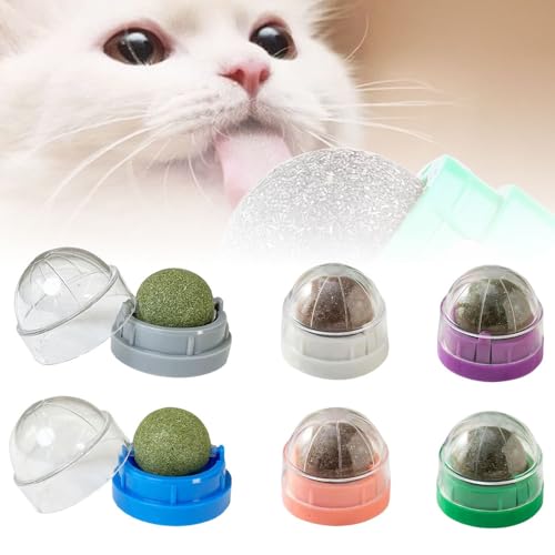 Matame Katzenminze Spielzeug,Baldrian Kissen für Katzen,Natürliches Katzenminze Ball Katzenminze Wandroller für Katzenlecken, Zahnreinigung Dentales Essbares Kätzchenspielzeug (6PCS) von Matame