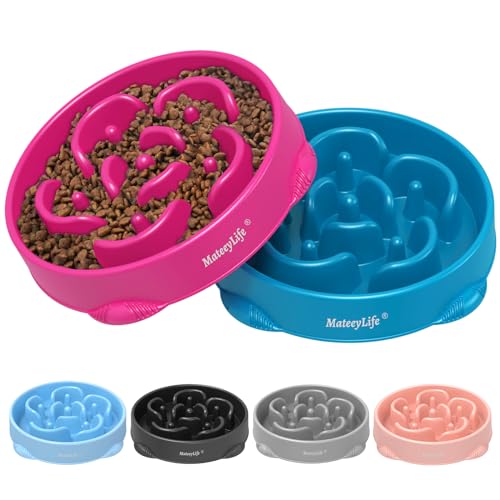 MateeyLife Futternäpfe für langsames Fressen, Anti-Verschlucken, Puzzle-Hundenapf, rutschfest, interaktives Füttern, langsames Fressen, Blähungsstopp-Labyrinth-Schalen für große Rassen, Lila und MateeyLife Futternäpfe für langsames Fressen, Anti-Verschlucken, Puzzle-Hundenapf, rutschfest, interaktives Füttern, langsames Fressen, Blähungsstopp-Labyrinth-Schalen für große Rassen, Lila und von MateeyLife