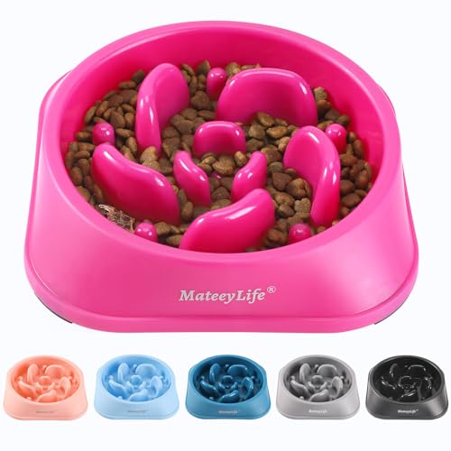 Mateeylife hundenapf, Anti schling napf Hund, Futternapf für Hunde – Rutschfester Slow Feeder Hundenapf Rose (19,8 cm) von MateeyLife