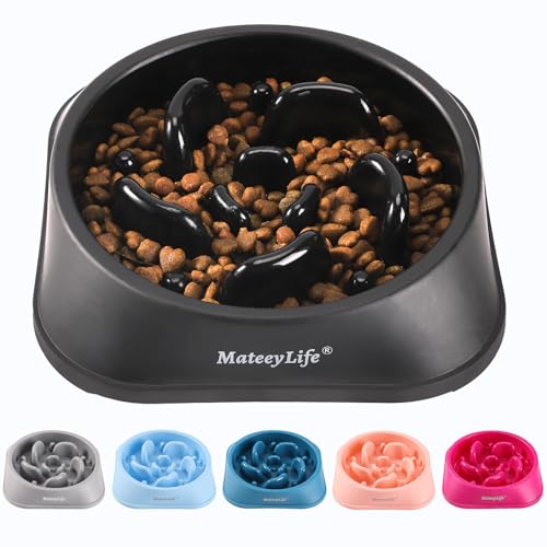 MateeyLife Hundenäpfe, langsamer Fressnapf, Anti-Erstickungs-Puzzle, interaktiver Futternapf für kleine/mittelgroße Hunde, Hundenäpfe zum Verlangsamen des Essens, kleiner Hundenapf, schwarz, 2 Tassen von MateeyLife