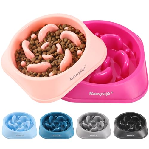 MateeyLife Slow Feeder Hundenapf für Hunde, Anti-Schlupf-Haustier, langsamer Futternapf, stoppt Blähungen, verhindert Ersticken, gesundes Design, Hundenapf, Rosa, Violett von MateeyLife