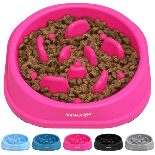 MateeyLife hundenapf, Anti schling napf Hund – Rutschfester Slow Feeder Hundenapf Puzzle-Schüssel Rose (15,24 cm) von MateeyLife