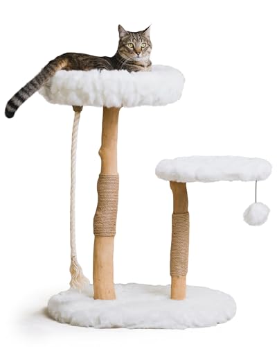 Rizzo Moderner Katzenbaum Turm, Naturzweig-Katzenhaus, Luxus Holz Katzenturm, Katzenkratzbaum, Katzenhause, Katzenliebhaber Geschenk, Luxuskatze, Katzengeschenke von Mau Lifestyle, Katzen Klettern von Mau Lifestyle