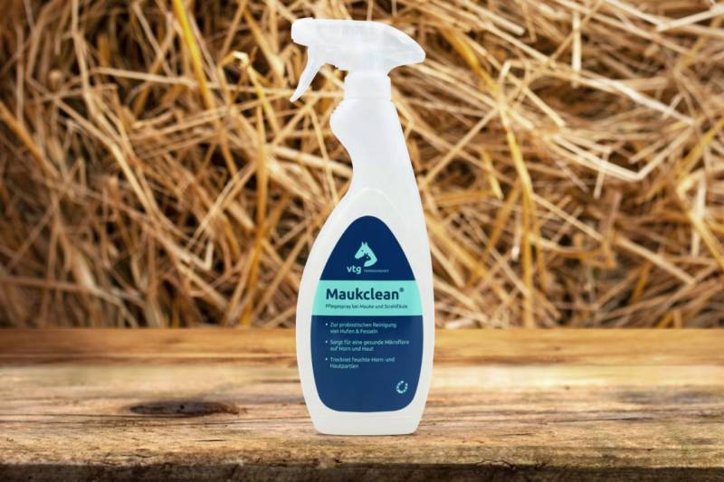 Maukclean Pflegespray von Maukclean