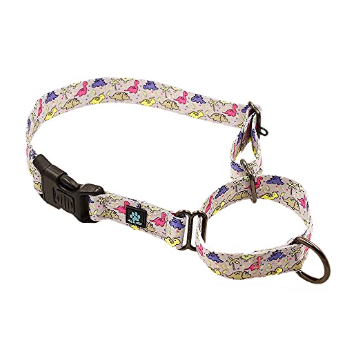 Max and Neo Gemustertes Martingale-Hundehalsband – Wir spenden ein Halsband an eine Hunderettung für jedes verkaufte Halsband (Medium, Dinosaurier) von Max and Neo