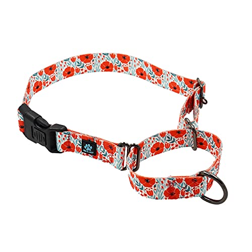 Max and Neo Gemustertes Martingale-Hundehalsband – Wir spenden ein Halsband an eine Hunderettung für jedes verkaufte Halsband (Medium, rote Mohnblumen) von Max and Neo