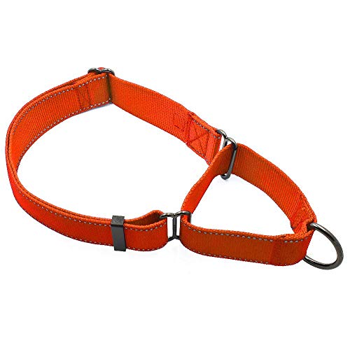 Max and Neo Hundehalsband, Nylon, extra groß, Martingale-Halsband, Wir spenden ein Halsband an eine Hunderettung für jedes verkaufte Halsband, Orange von Max and Neo