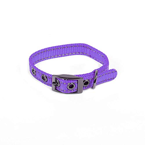 Max and Neo MAX Reflektierendes Hunde Halsband für kleine Hunde mit Metallschnalle, wir spenden ein Halsband an eine Hunderettung für jedes verkaufte Halsband (XS, Violett) von Max and Neo