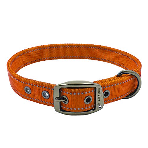 Max and Neo MAX Reflektierendes Hundehalsband mit Metallschnalle, wir spenden ein Halsband an eine Hunderettung für jedes verkaufte Halsband (Medium, Orange) von Max and Neo