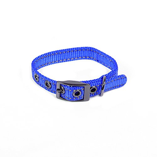 Max and Neo MAX Reflektierendes Hundehalsband mit Metallschnalle, wir spenden ein Halsband an eine Hunderettung für jedes verkaufte Halsband (XS, blau) von Max and Neo