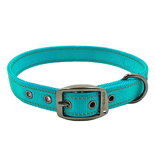 Max and Neo MAX Reflektierendes Hundehalsband mit Metallschnalle – Wir spenden ein Halsband an eine Hunderettung für jedes verkaufte Halsband (Medium, Blaugrün) von Max and Neo