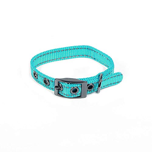 Max and Neo MAX Reflektierendes Hundehalsband mit Metallschnalle – Wir spenden ein Halsband an eine Hunderettung für jedes verkaufte Halsband (XS, Blaugrün) von Max and Neo