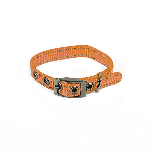 Max and Neo MAX Reflektierendes Hundehalsband mit Metallschnalle – Wir spenden ein Halsband an eine Hunderettung für jedes verkaufte Halsband (XS, Orange) von Max and Neo