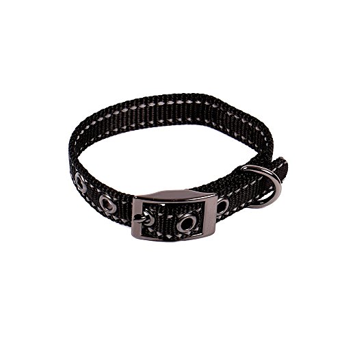 Max and Neo MAX Reflektierendes Hundehalsband mit Metallschnalle – Wir spenden ein Halsband an eine Hunderettung für jedes verkaufte Halsband (XS, Schwarz) von Max and Neo