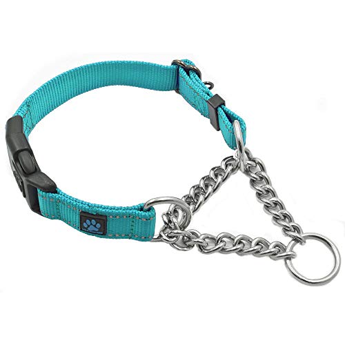 Max and Neo Martingale-Halsband aus Edelstahl – Wir spenden ein Halsband an eine Hunderettung für jedes verkaufte Halsband (Medium, Blaugrün) von Max and Neo