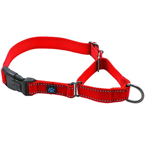 Max and Neo Martingale-Halsband aus Nylon, für jedes verkaufte Halsband spenden wir ein Halsband an eine Hunderettung (groß, rot) von Max and Neo