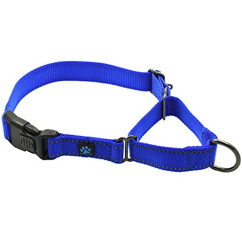 Max and Neo Martingale-Halsband aus Nylon – Wir spenden ein Halsband an eine Hunderettung für jedes verkaufte Halsband (klein, blau) von Max and Neo