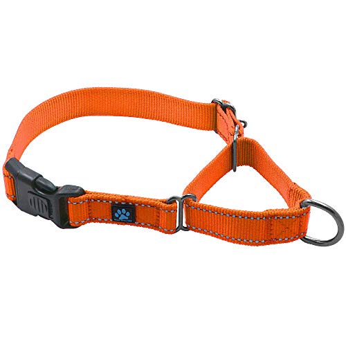 Max and Neo Martingale-Halsband aus Nylon – wir spenden ein Halsband an eine Hunderettung für jedes verkaufte Halsband (groß, orange) von Max and Neo