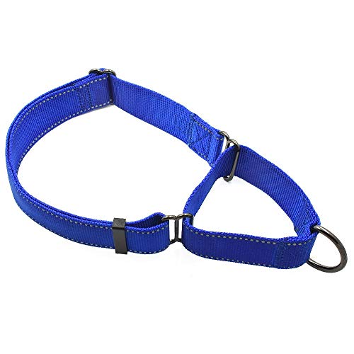 Max and Neo Martingale-Hundehalsband, Nylon, extra groß, Blau von Max and Neo