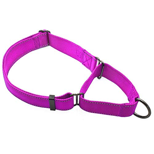 Max and Neo Martingale-Hundehalsband, Nylon, extra groß, Rosa von Max and Neo