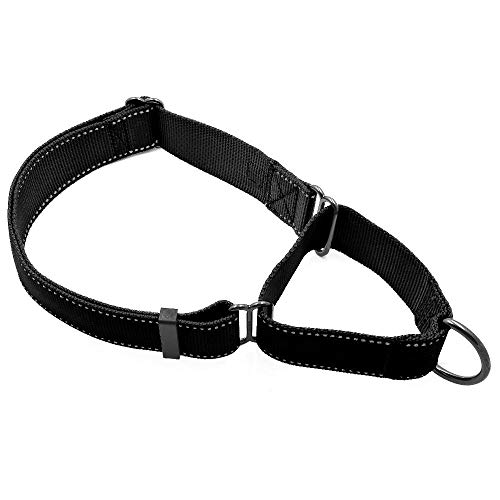 Max and Neo Martingale-Hundehalsband, Nylon, extra groß, für jedes verkaufte Halsband spenden wir ein Halsband an eine Hunderettung (schwarz) von Max and Neo