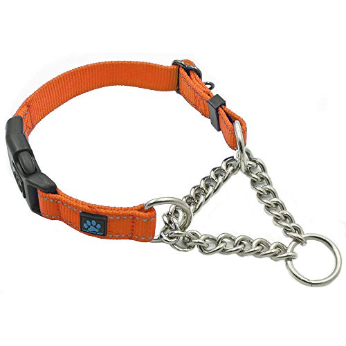 Max and Neo Martingalhalsband aus Edelstahl – Wir spenden ein Halsband an eine Hunderettung für jedes verkaufte Halsband (groß, orange) von Max and Neo