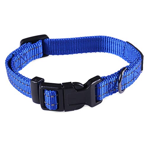 Max and Neo NEO Reflektierendes Hundehalsband aus Nylon mit Schnalle - Für jedes verkaufte Halsband spenden wir ein Halsband an eine Hunderettung, X-Small, blau von Max and Neo