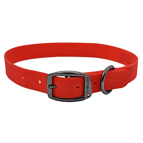 Max and Neo Wasserdichtes Hundehalsband mit Max-Schnalle – Wir spenden ein Halsband an eine Hunderettung für jedes verkaufte Halsband (klein, rot) von Max and Neo