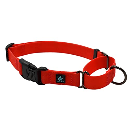 Max and Neo Wasserdichtes Martingale-Hundehalsband – Wir spenden ein Halsband an eine Hunderettung für jedes verkaufte Halsband (Medium, Rot) von Max and Neo