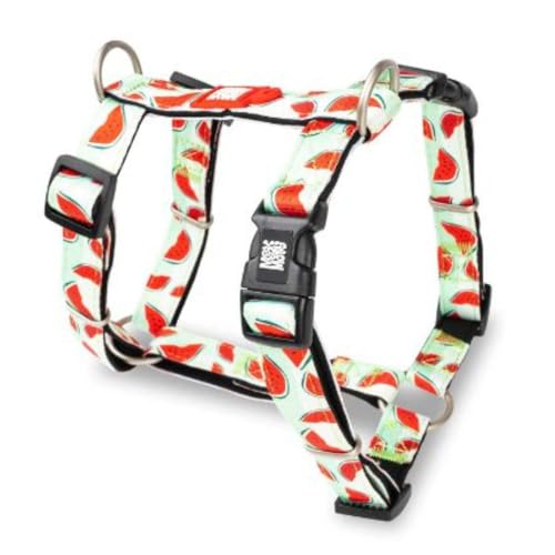 Max & Molly Ultra Comfortable Padded Neoprene Dog Step-in Sport Harness, Secure, Adjustable, and Easy Control von Max & Molly