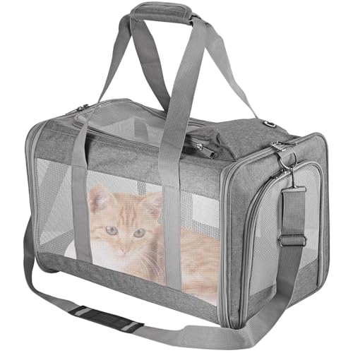 Maxetodo Katzentransportbox Faltbare Transportbox Katze Belüftung An Allen Seiten Flugzeug-genehmigt Reisefreundliche Katzentransporttasche Mit Abnehmbare Stützplatte Für Kleiner Hund Grau（44x31x31cm von Maxetodo