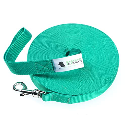 Maximum Pet Products Hundetrainingsleine, 1,5 m, Grün von Maximum Pet Products