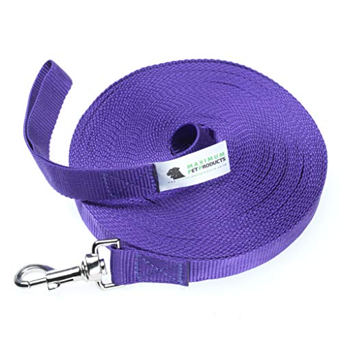 Maximum Pet Products Hundetrainingsleine, 25 m, Violett von Maximum Pet Products