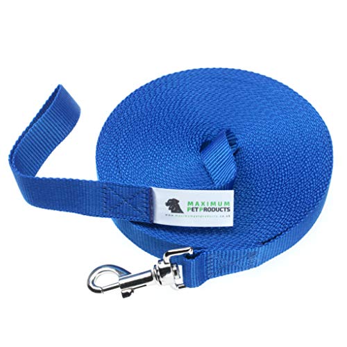 Trainingsleine für Hunde, 20 m, Blau von Maximum Pet Products