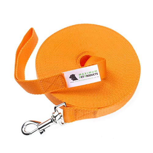 Trainingsleine für Hunde, 24 m, Orange von Maximum Pet Products