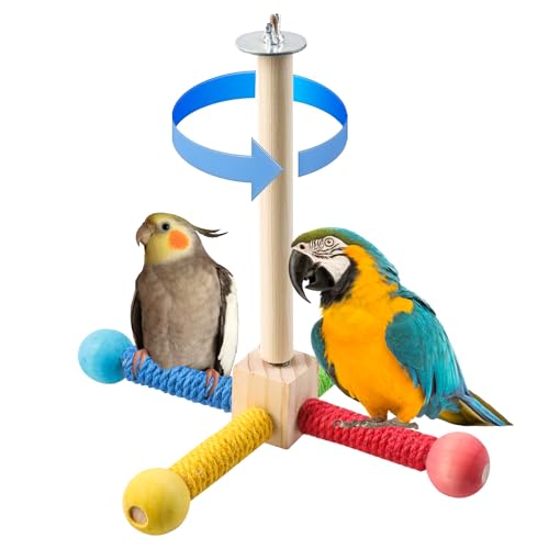 Maxqzin Vogelständer, Sitzstange, Spielzeug, Vogel-Trainingsständer für Papageien, Vogelsitzstange, Papageienkäfig, Holzzweige zum Stehen, Spielzeug für kleine, mittelgroße Papageien, Wellensittiche von Maxqzin