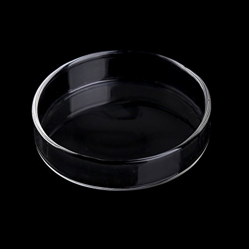 Maxtonser Aquarium Shrimp Dish High Transparent Acrylic Feeder for Bottom Feeding Fish Food Bowl 2.4x0.6 Inches Round Tray,Bowl Dish von Maxtonser