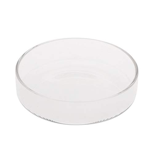 Maxtonser Aquarium Shrimp Feeding Dish High Transparent Glass Bottom Feeder Food Bowl 3.9 3.5 3.2 3.0 2.6 2.4 Inches Round Tray,Shrimp Feeder von Maxtonser