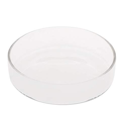 Maxtonser Aquarium Shrimp Feeding Dish High Transparent Glass Bottom Feeder Food Bowl 3.9 3.5 3.2 3.0 2.6 2.4 Inches Round Tray,Shrimp Feeder von Maxtonser