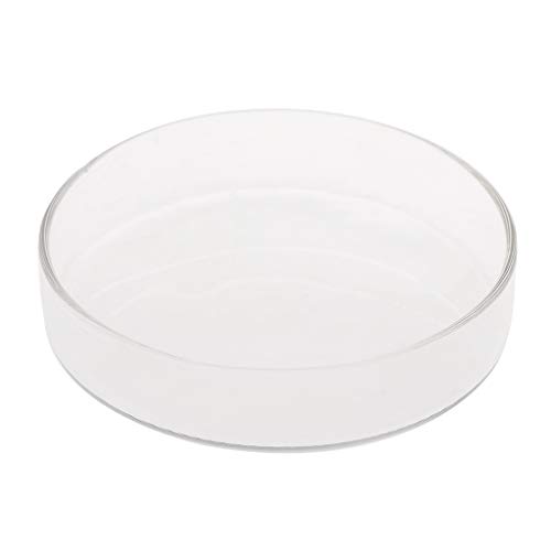 Maxtonser Aquarium Shrimp Feeding Dish High Transparent Glass Bottom Feeder Food Bowl 3.9 3.5 3.2 3.0 2.6 2.4 Inches Round Tray,Shrimp Feeder von Maxtonser