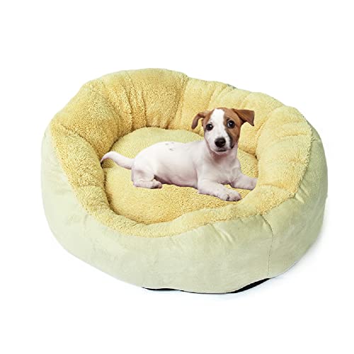 MaxxPet Hundebett - Hundekissen - Hundekorb - Tierkorb - 65 x 65 x 18 cm von MaxxPet